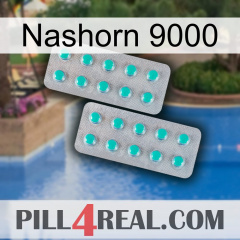 Rhino 9000 29
